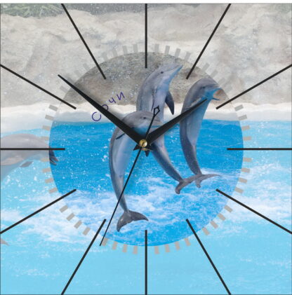 Часы настенные «Дельфины Сочи»
