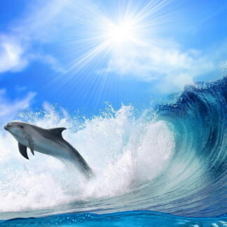 Фото на стекле «Дельфин на волне»