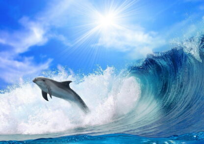 Фото на стекле «Дельфин на волне»